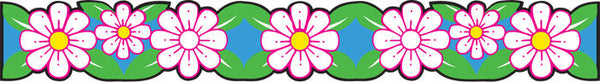 Border Diasies Flower XCTP0136