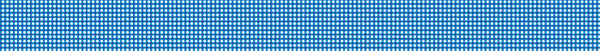 Blue Gingham Borders XCTP0399