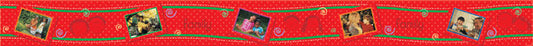 Family Border Brites XCTP1493