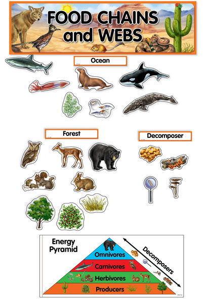 Food Chains And Webs Mini Bulletin Board Set XCTP1767
