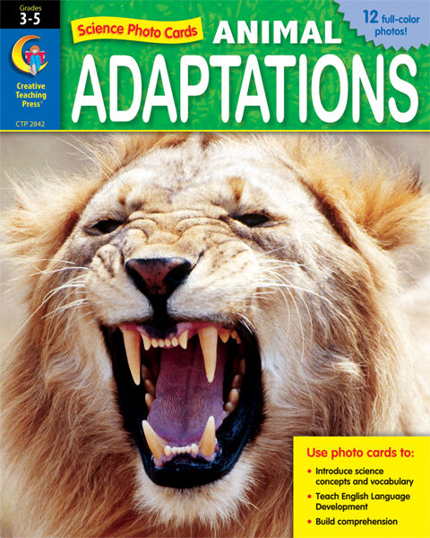 Science Photo Cards Animal Adaptations XCTP2842