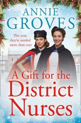 A Gift for the District Nurses (The District Nurses, Book 4)