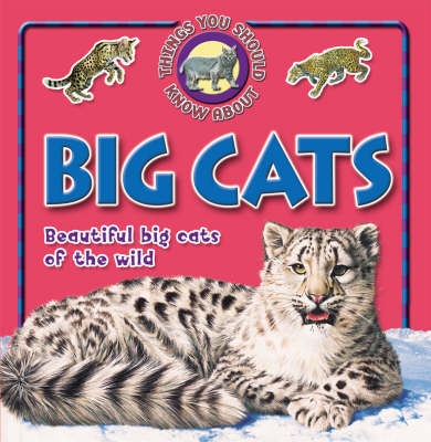 10 Things You Should Know About Big Cats