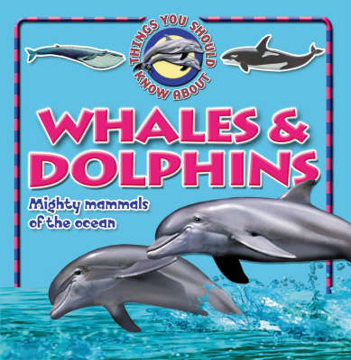 10 Things You Should Know About Whales and Dolphins