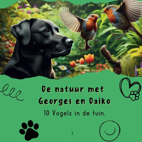 10 Vogels in de tuin.