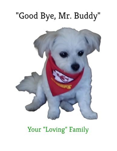 "Good Bye, Mr. Buddy": "You Brought Great Joy"