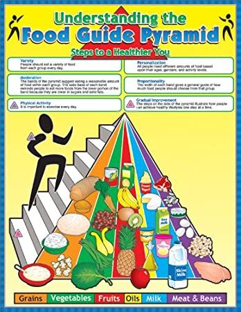 Understanding The Food Guide Pyramid XCD114042
