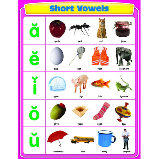 Short Vowels XCD114063
