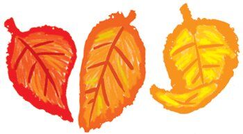 Fall Leaves XCD4251