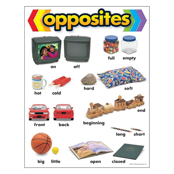 Opposites Learning Chart, 17" x 22" XT38027