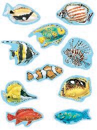 Under The Sea 1 Accents XTCR4374