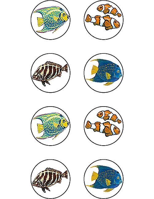 Sea Life Mini Stickers From Wyland XTCR4381