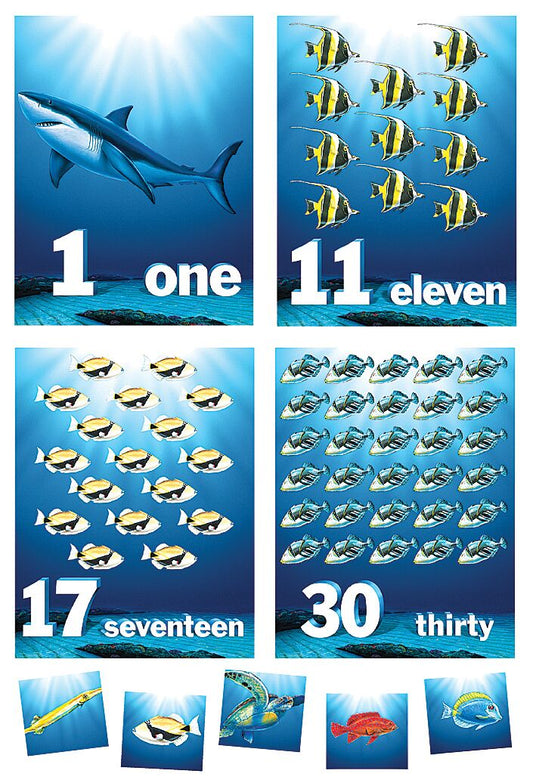 Fishing For Numbers Bulletin Board XTCR4383