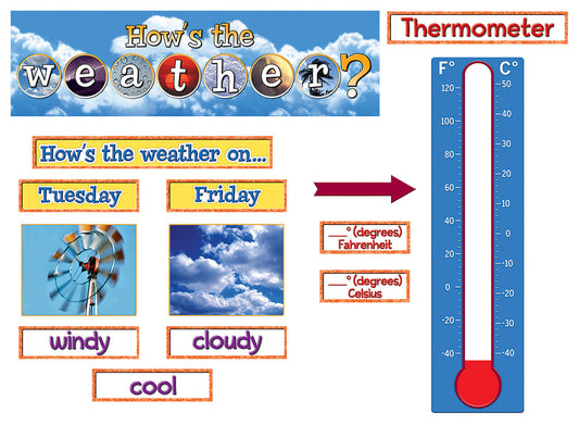 How Is Weather Mini Bb XTCR4869