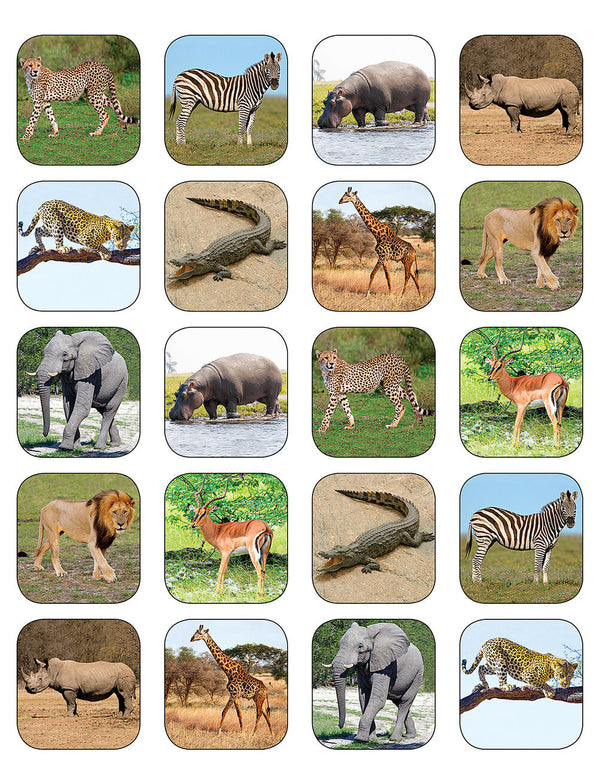 Safari Animals Stickers XTCR5468
