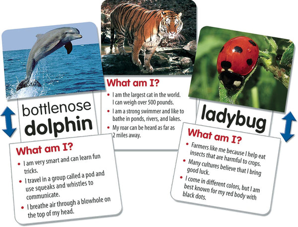 Animal Fun Facts Slide  Learn Flash Cards XTCR6563