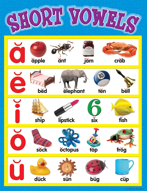 Short Vowels Chart XTCR7701