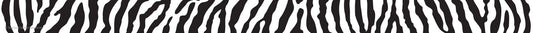 Zebra Magnetic Strips XTCR77136