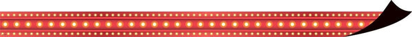 Red Marquee Magnetic Border XTCR77302