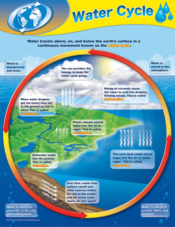 Water Cycle Chart XTCR7743